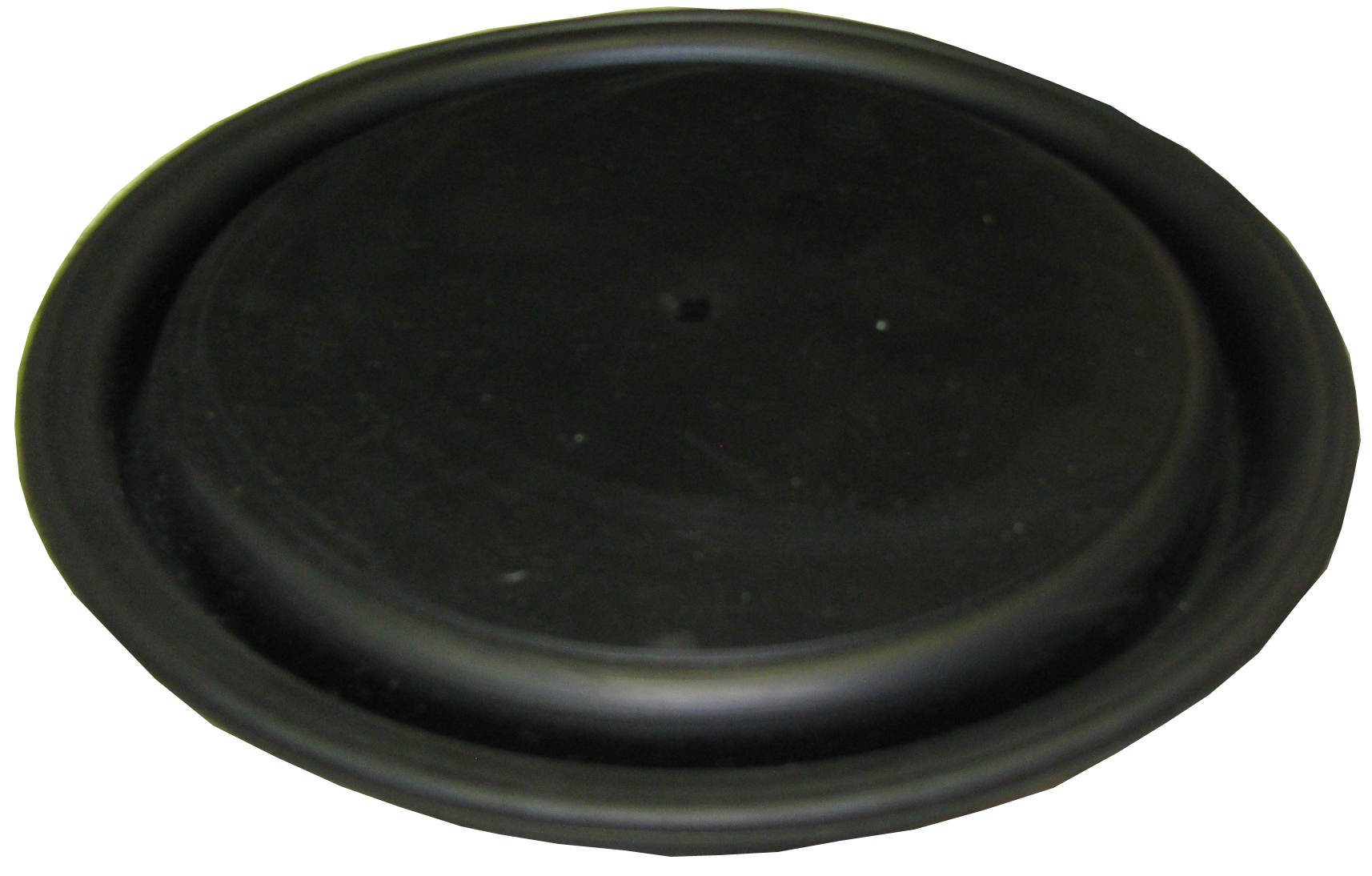 Protek/berkeley 900 Type Diaphragm