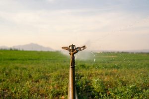 Sprinklers / Gun Carts