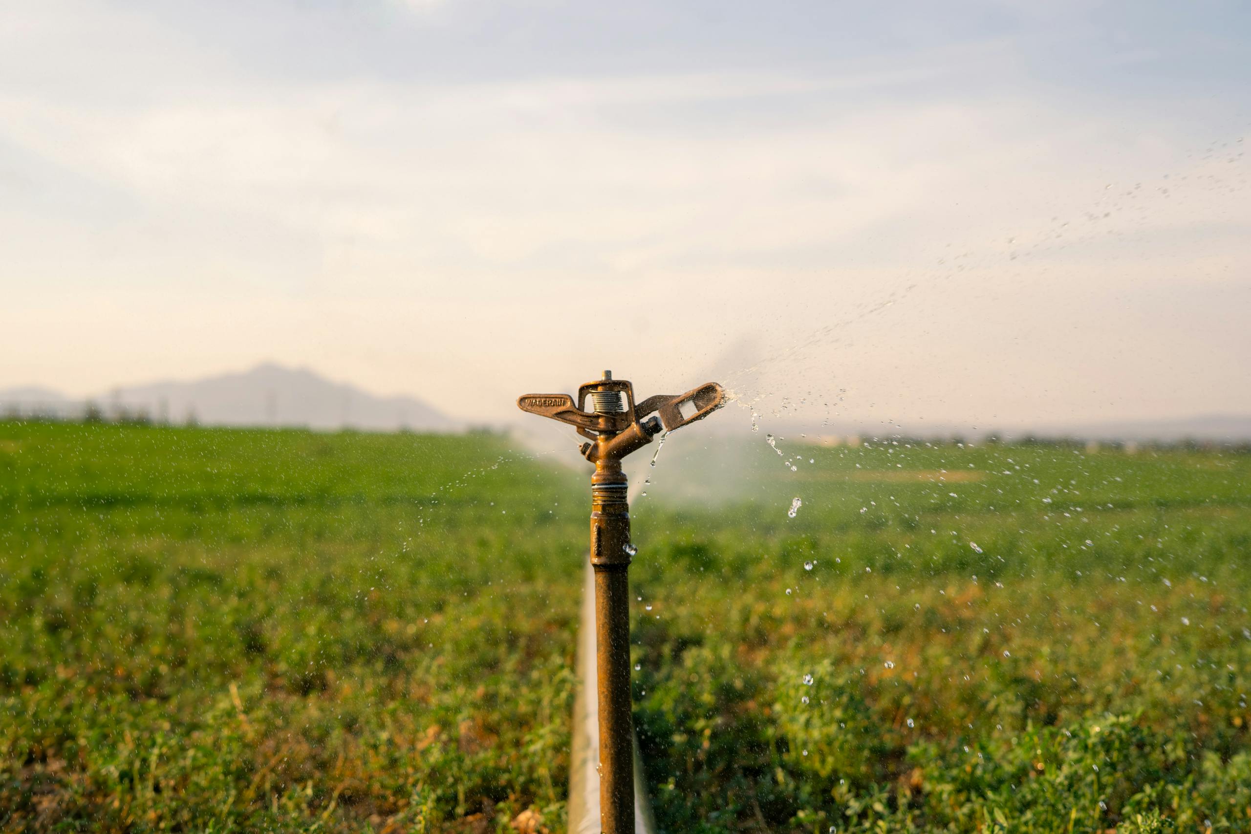 Sprinklers / Gun Carts