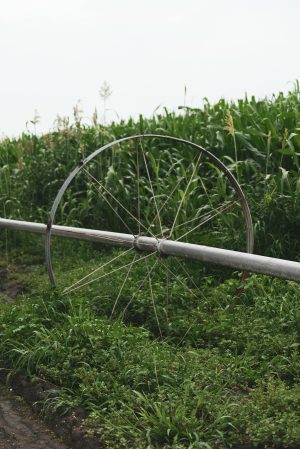 Wheel Line and Components