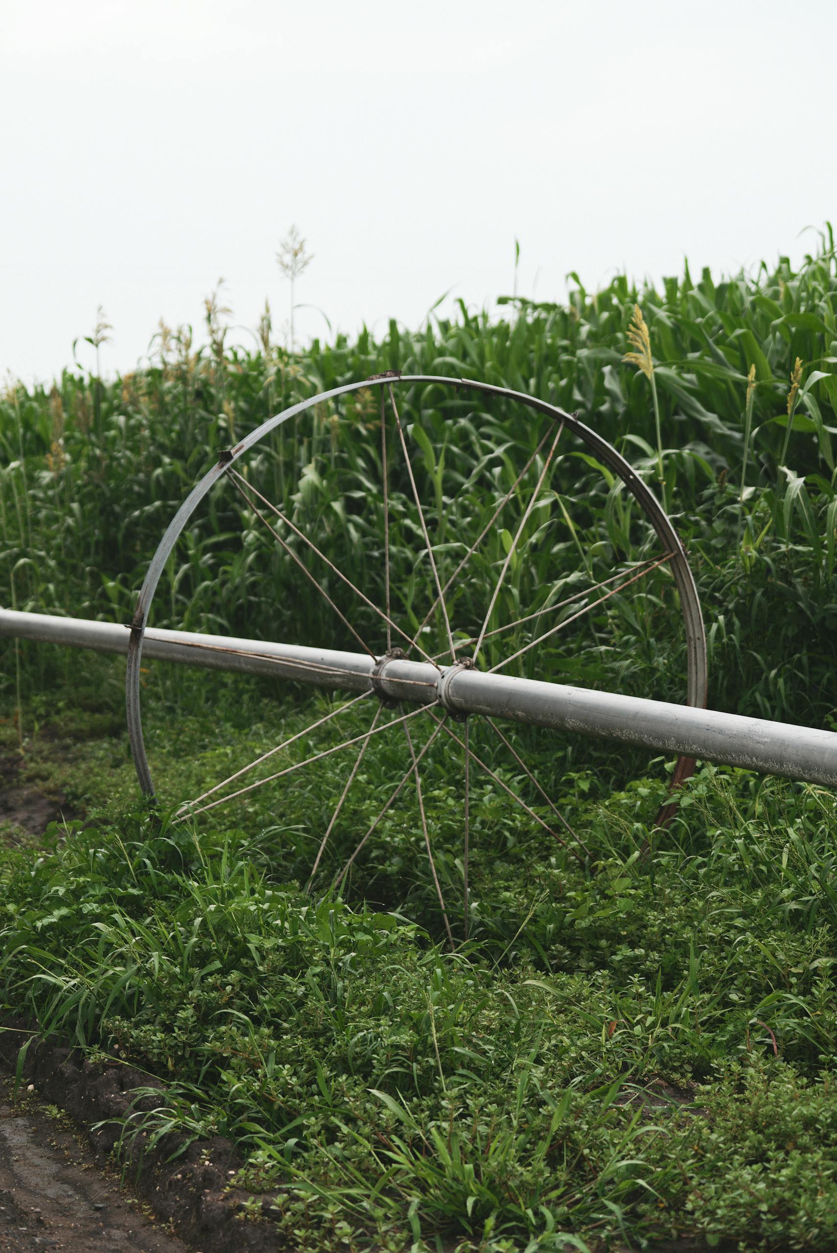 Wheel Line and Components